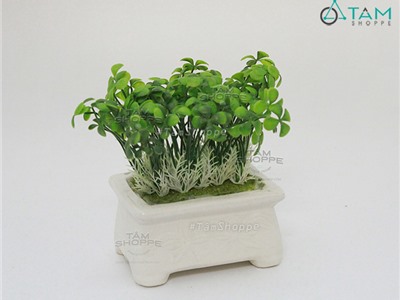 Chậu mầm đá chữ nhật số 46