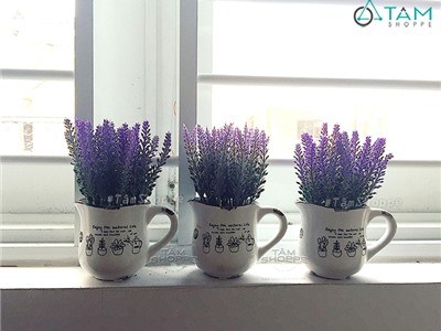 Chậu hoa Vintage Lavender ly gốm No.18
