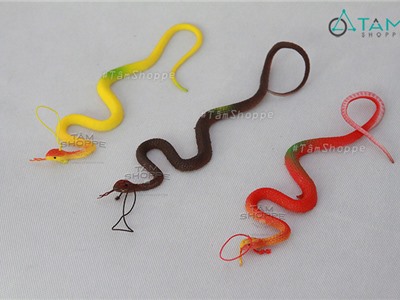 Con rắn giả số 16