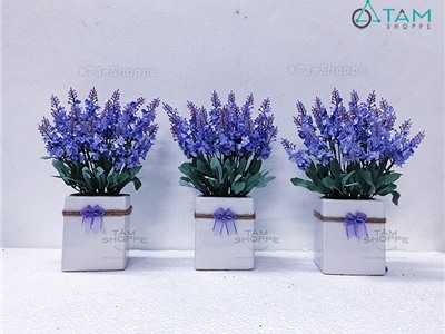 Chậu hoa Lavender gốm vuông No.53 (Tím nhạt)