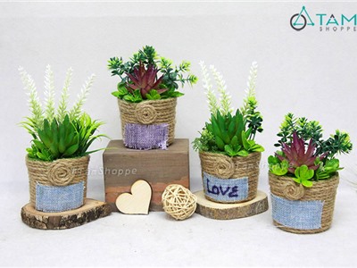 Chậu sen đá giả để bàn chậu dây thừng Handmade F-CHĐB-100