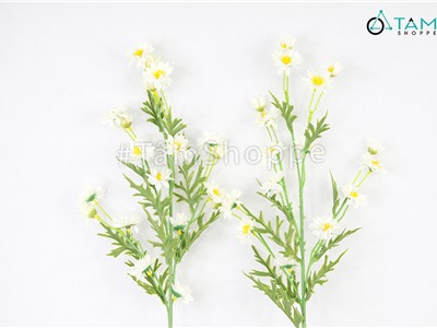 Cành hoa cúc hoa mi giả dáng cành cao CHG-135