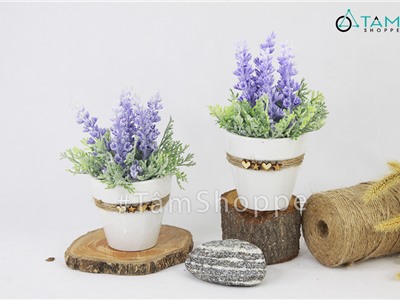 Chậu hoa lavender giả đề bàn tim sao gỗ CHDB-103