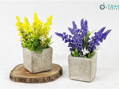 Chậu hoa lavender giả đề bàn hoa xốp chậu xi măng CHDB-105