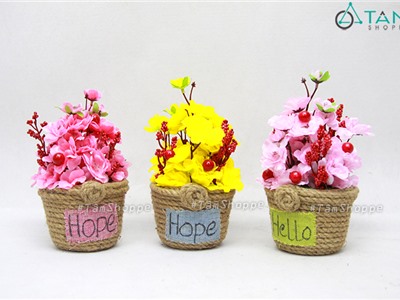 Chậu hoa mai đào handmade dây thừng chậu thấp T-CHĐB-103