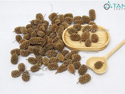 Bịch 100gr trái thông liễu khô tự nhiên trang trí F-HKHO-12