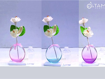 Bộ tinh dầu tự khuếch tán lọ màu trong suốt 50ml