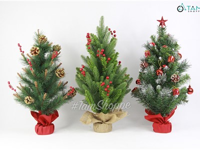 Cây thông Noel nhỏ để bàn lá xanh cao 60cm X-TREE-04