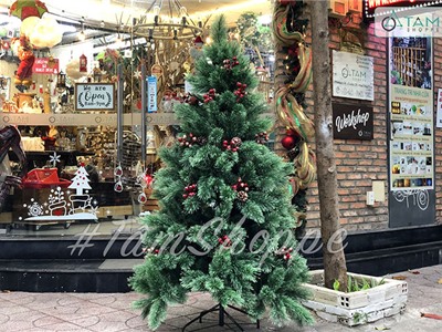  Cây thông Noel xanh cước đầu xòe gắn trái đỏ cao từ 200-240cm X-TREE-18