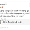 Bóng đèn xông tinh dầu điện (Bóng đèn Halogen) PKTTDTD-BDH
