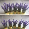 Cành hoa lavender giả phủ bụi [Vintage - Dài 37cm] CANHHOA-05