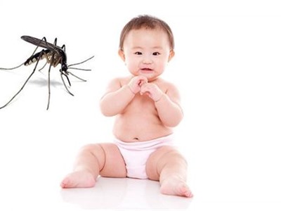 Đuổi muỗi hiệu quả đơn giản với tinh dầu sả chanh