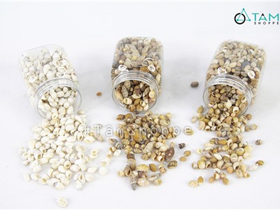 Vỏ ốc vụn trang trí phong cách biển hủ 140-160g HOS-01