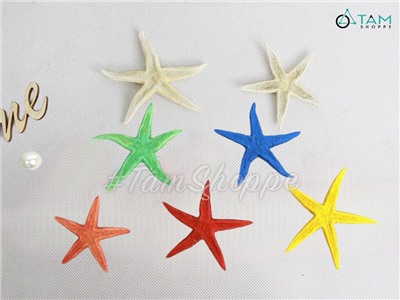Set 03-05 sao biển Astro đủ màu SAOBIEN-01