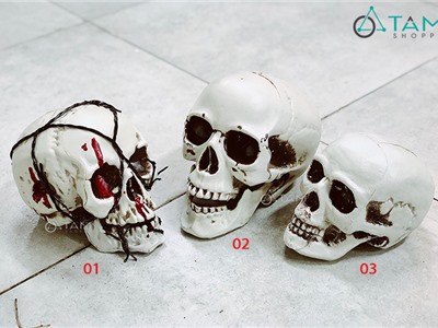 Mô hình đầu lâu hộp sọ trang trí nhiều kiểu HLW-ĐLHS-01