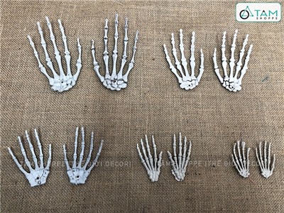 Mô hình xương bàn tay người như thật nhiều cỡ XUONG-TAY-01