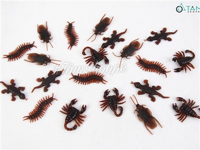 Set 05 con côn trùng giả như thật mini nâu đen TCV-CONTRUNG