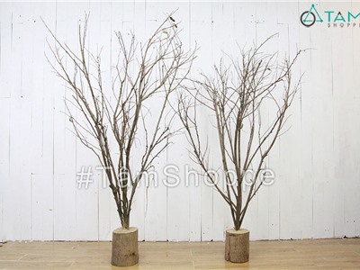 Cành cây khô gắn hoa mai đào trang trí để bàn gốc cây số 07