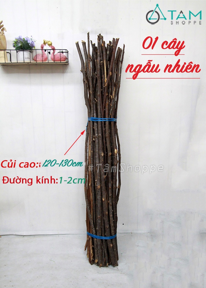 canh-cay-cui-kho-trang-tri-don-gian canh-cay-cui-kho-trang-tri-don-gian
