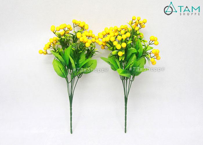 canh-hoa-gia-trai-cherry-vang canh-hoa-gia-trai-cherry-vang