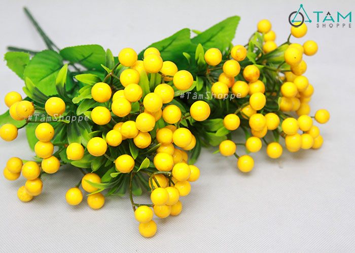 canh-hoa-gia-trai-cherry-vang canh-hoa-gia-trai-cherry-vang