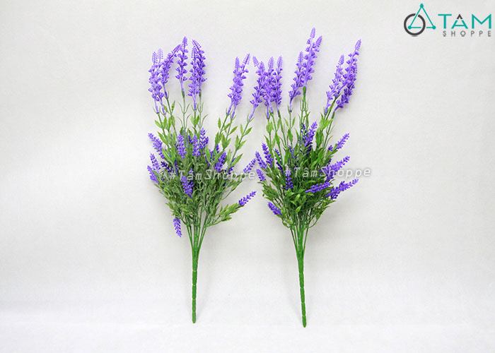 canh-hoa-lavender-gia-2-tang-nhua canh-hoa-lavender-gia-2-tang-nhua