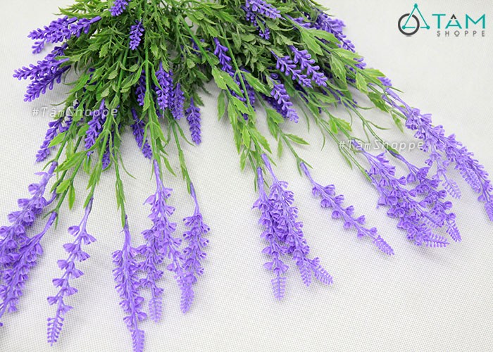 canh-hoa-lavender-gia-2-tang-nhua canh-hoa-lavender-gia-2-tang-nhua
