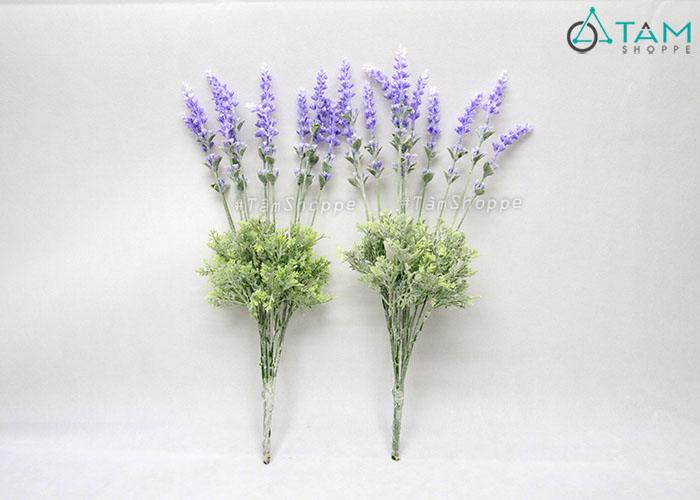 canh-hoa-lavender-gia-2-tang-phu-bui canh-hoa-lavender-gia-2-tang-phu-bui