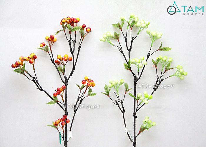 canh-trai-cherry-chum-4-tang-tai-loc canh-trai-cherry-chum-4-tang-tai-loc