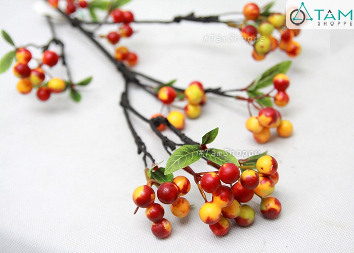 canh-trai-cherry-chum-4-tang-tai-loc canh-trai-cherry-chum-4-tang-tai-loc