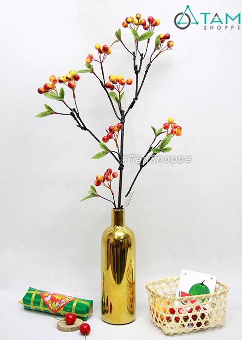 canh-trai-cherry-chum-4-tang-tai-loc canh-trai-cherry-chum-4-tang-tai-loc