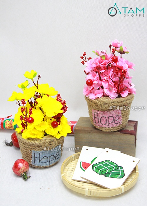 chau-hoa-mai-dao-handmade-day-thung chau-hoa-mai-dao-handmade-day-thung