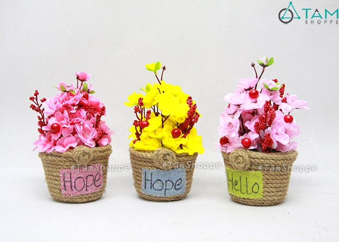 chau-hoa-mai-dao-handmade-day-thung chau-hoa-mai-dao-handmade-day-thung