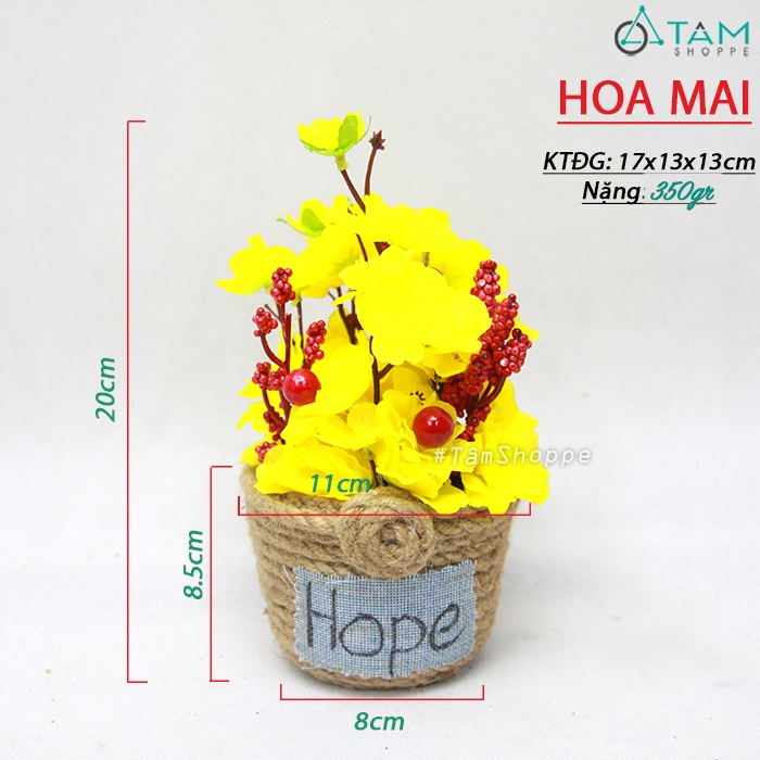 chau-hoa-mai-dao-handmade-day-thung chau-hoa-mai-dao-handmade-day-thung