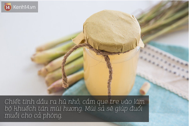 Tự làm tinh dầu sả chống muỗi an toàn mà vô cùng hiệu quả - Ảnh 10.